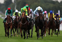 race night