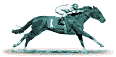 race night